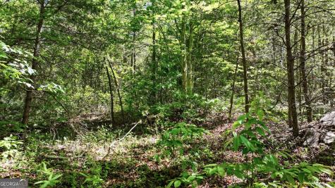 201 Spookhaven Lane Clarkesville GA 30523