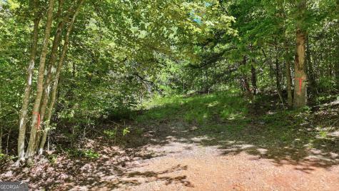 201 Spookhaven Lane Clarkesville GA 30523