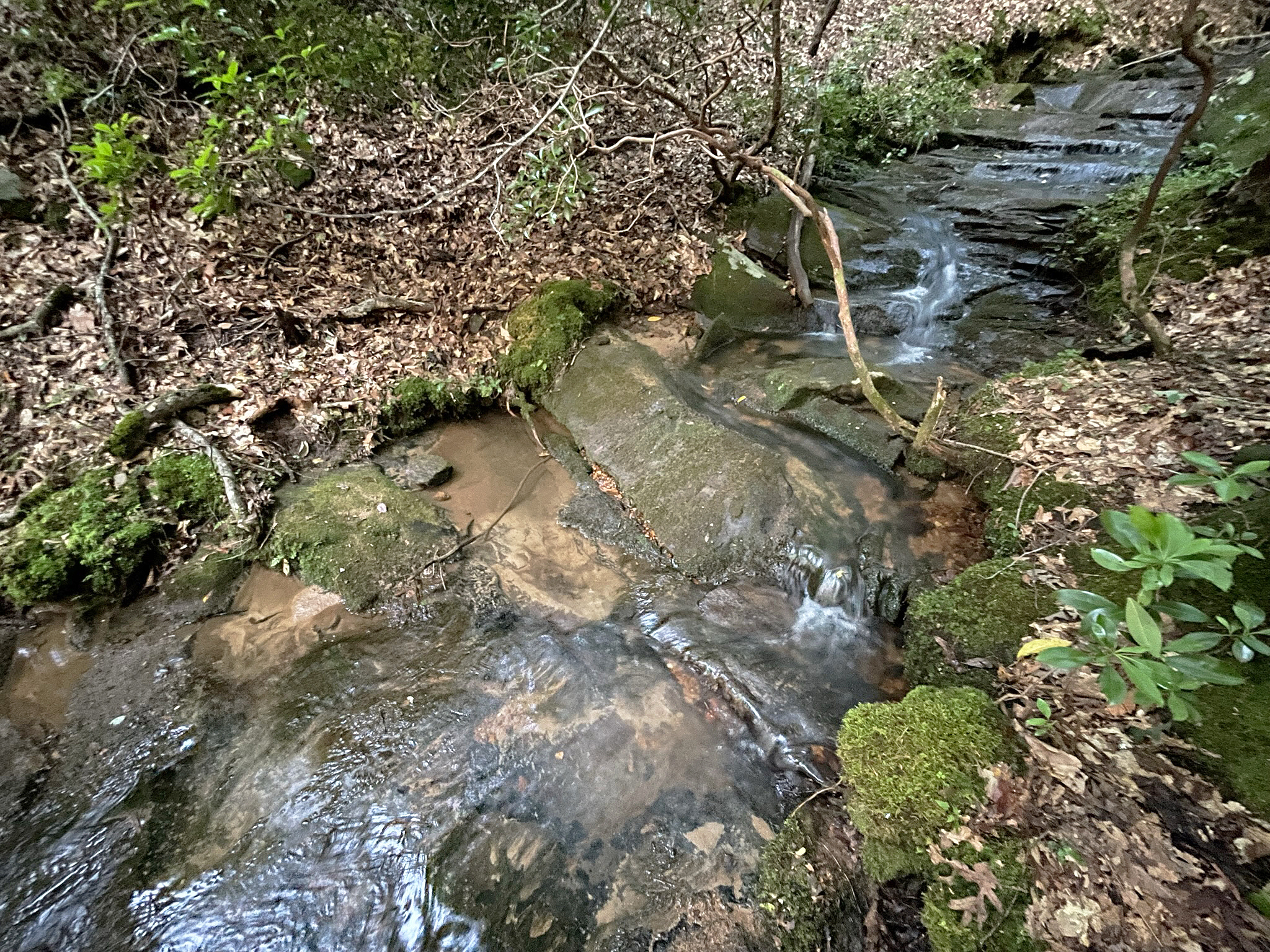 64 Kristen Lane Ellijay GA 30540