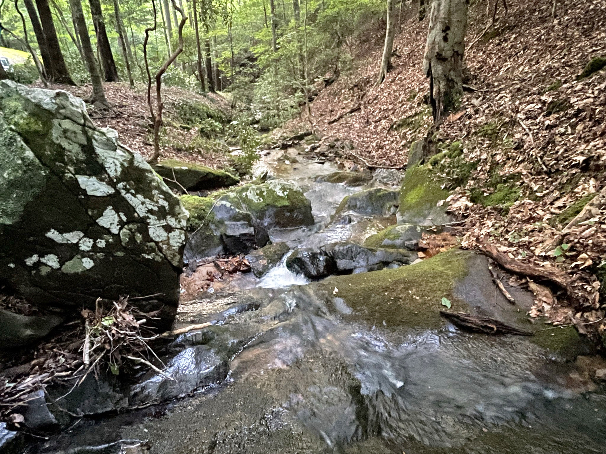 64 Kristen Lane Ellijay GA 30540