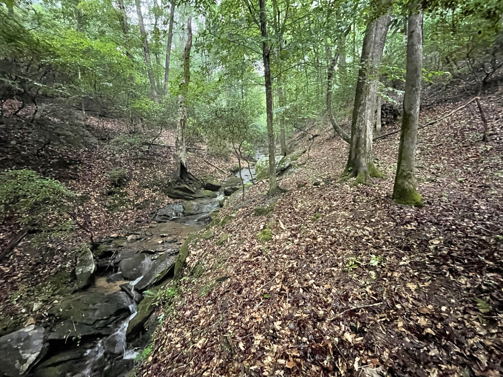 64 Kristen Lane Ellijay GA 30540