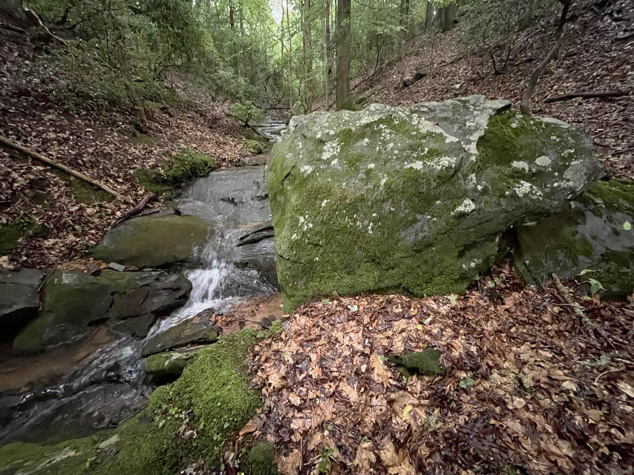 64 Kristen Lane Ellijay GA 30540