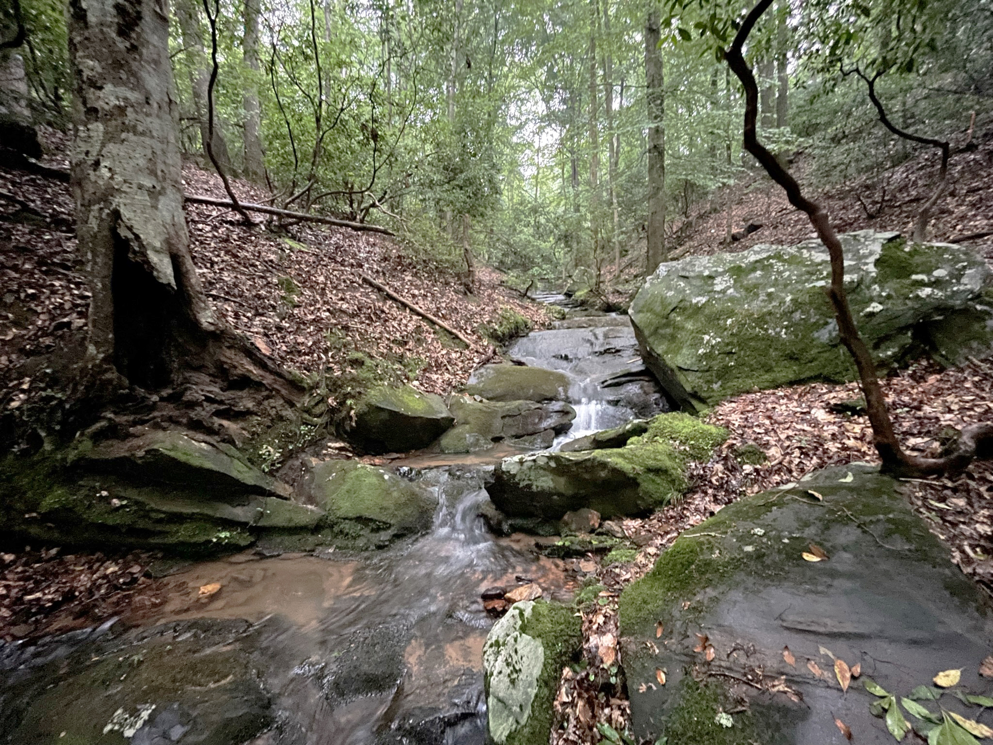 64 Kristen Lane Ellijay GA 30540