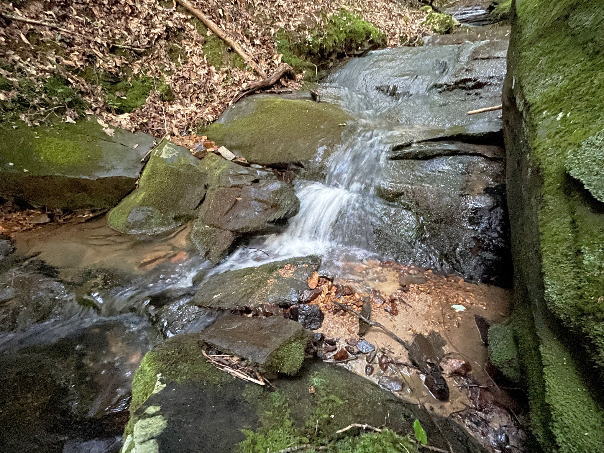 64 Kristen Lane Ellijay GA 30540
