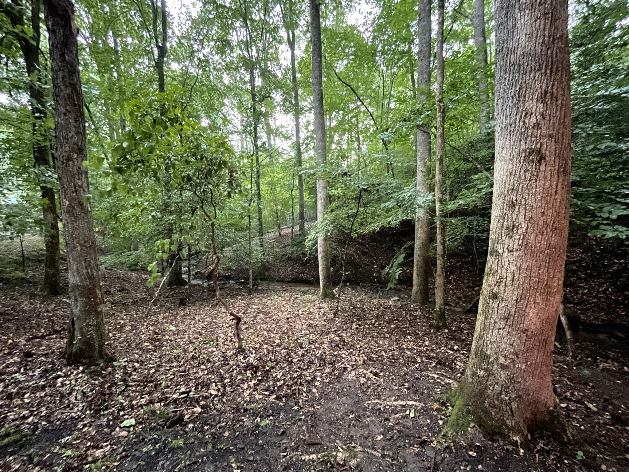 64 Kristen Lane Ellijay GA 30540
