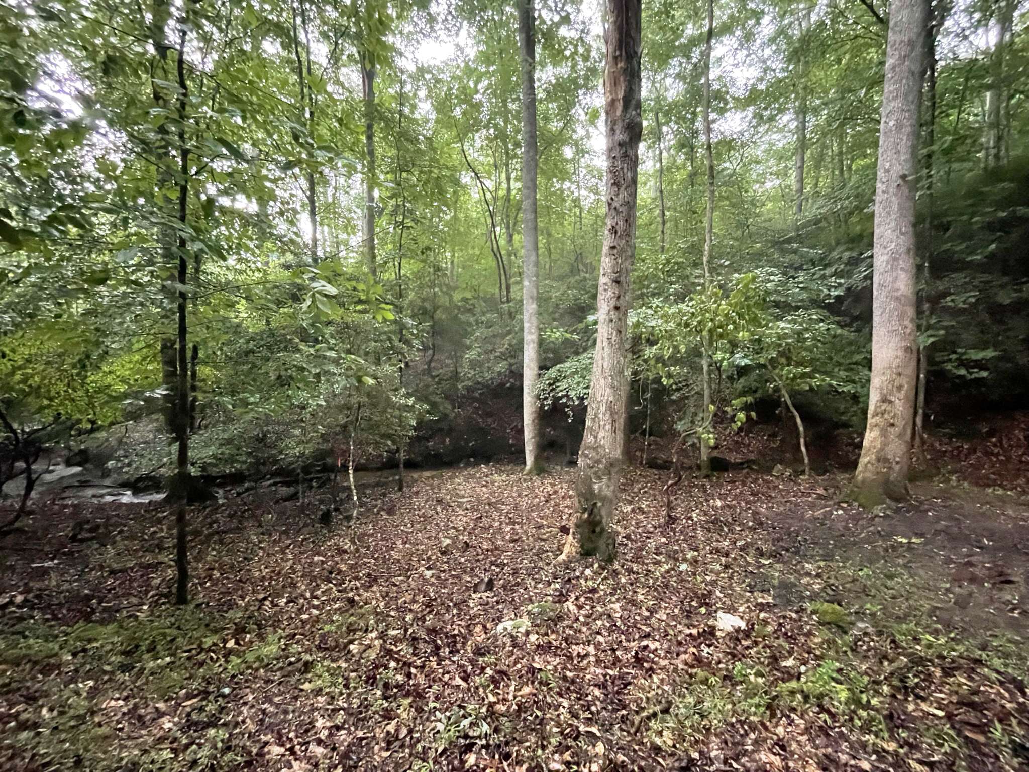 64 Kristen Lane Ellijay GA 30540