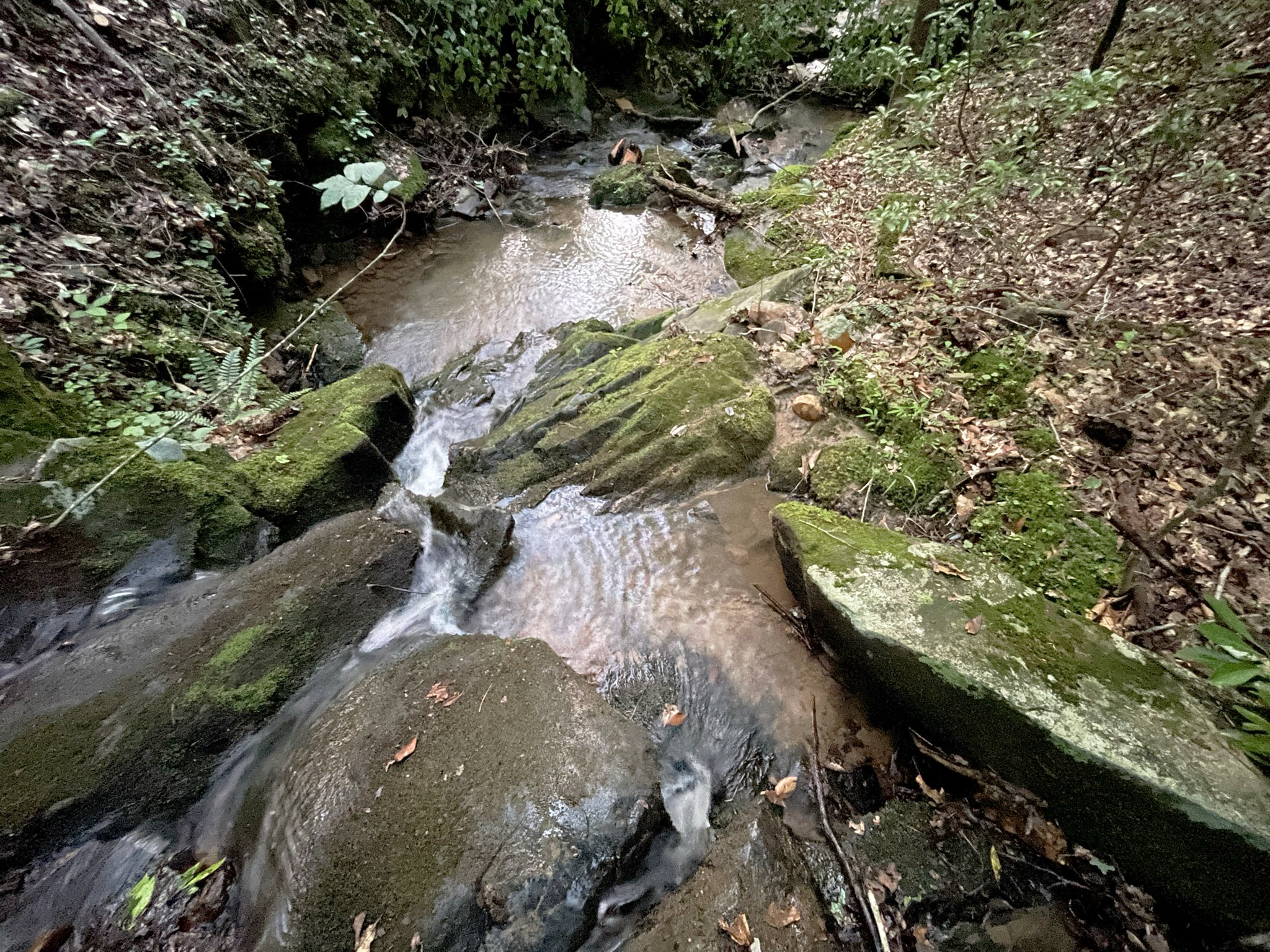 64 Kristen Lane Ellijay GA 30540