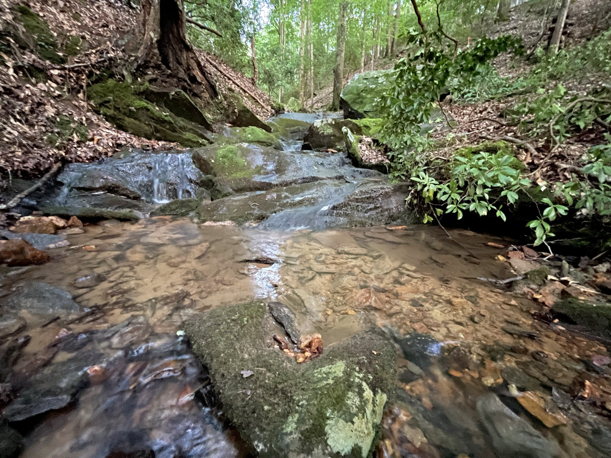 64 Kristen Lane Ellijay GA 30540