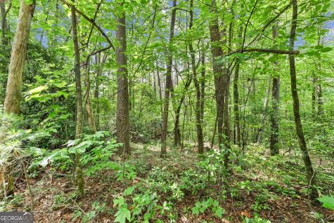 0 Sweetheart Lane Sautee Nacoochee GA 30571