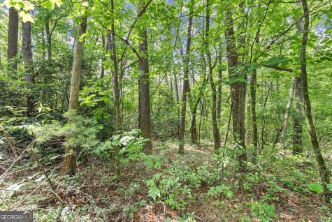 0 Sweetheart Lane Sautee Nacoochee GA 30571