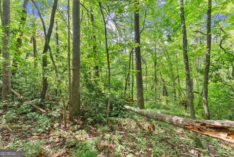 0 Sweetheart Lane Sautee Nacoochee GA 30571