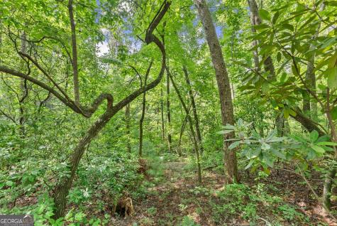 0 Sweetheart Lane Sautee Nacoochee GA 30571