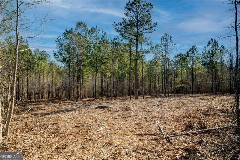 689 Moccasin Gap Road Jackson GA 30233