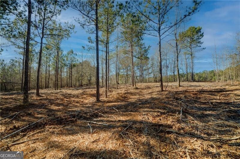 689 Moccasin Gap Road Jackson GA 30233
