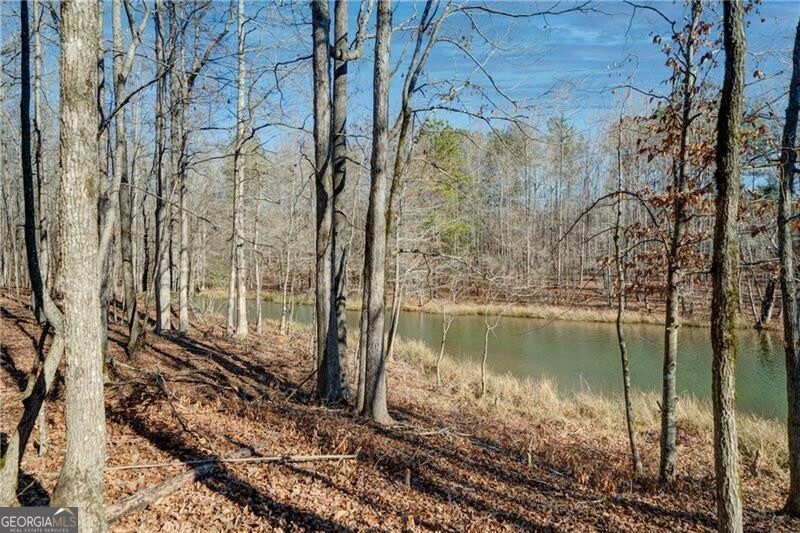 689 Moccasin Gap Road Jackson GA 30233
