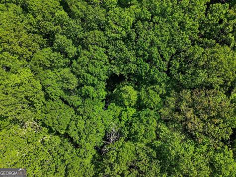 4 Acres Dancing Bear Trail Clayton GA 30525