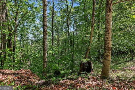 4 Acres Dancing Bear Trail Clayton GA 30525