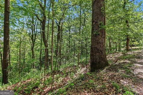 4 Acres Dancing Bear Trail Clayton GA 30525