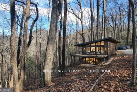 4 Acres Dancing Bear Trail Clayton GA 30525