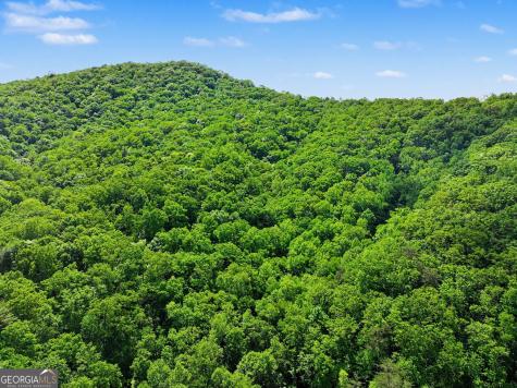 4 Acres Dancing Bear Trail Clayton GA 30525