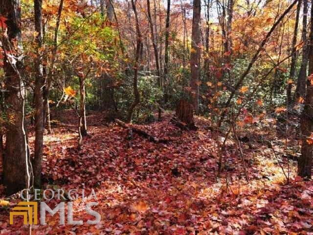 L-3 High Pointe Drive Clayton GA 30525