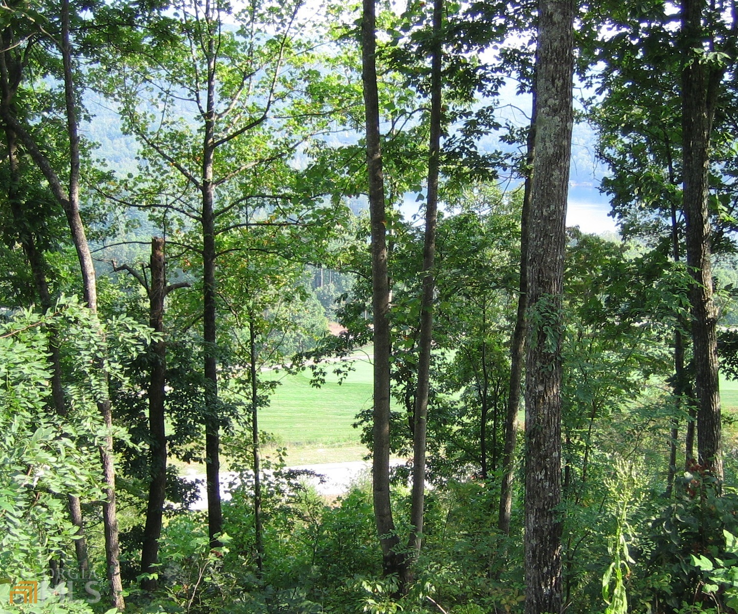 L-3 High Pointe Drive Clayton GA 30525