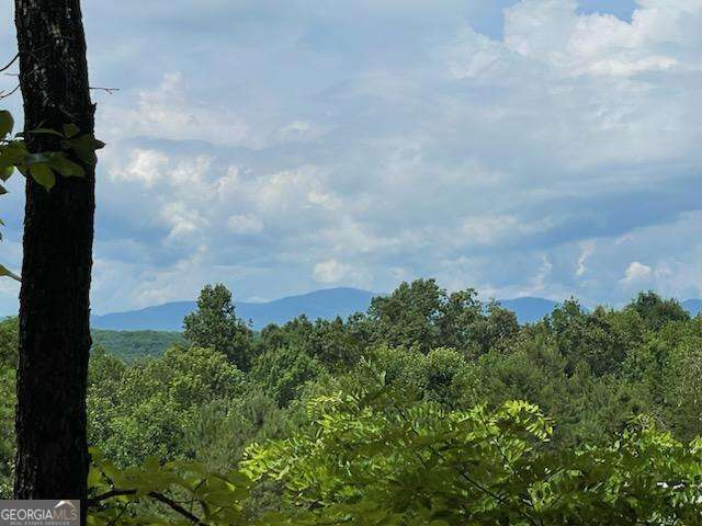 36.78 Ac Old Highway 76 Morganton GA 30560