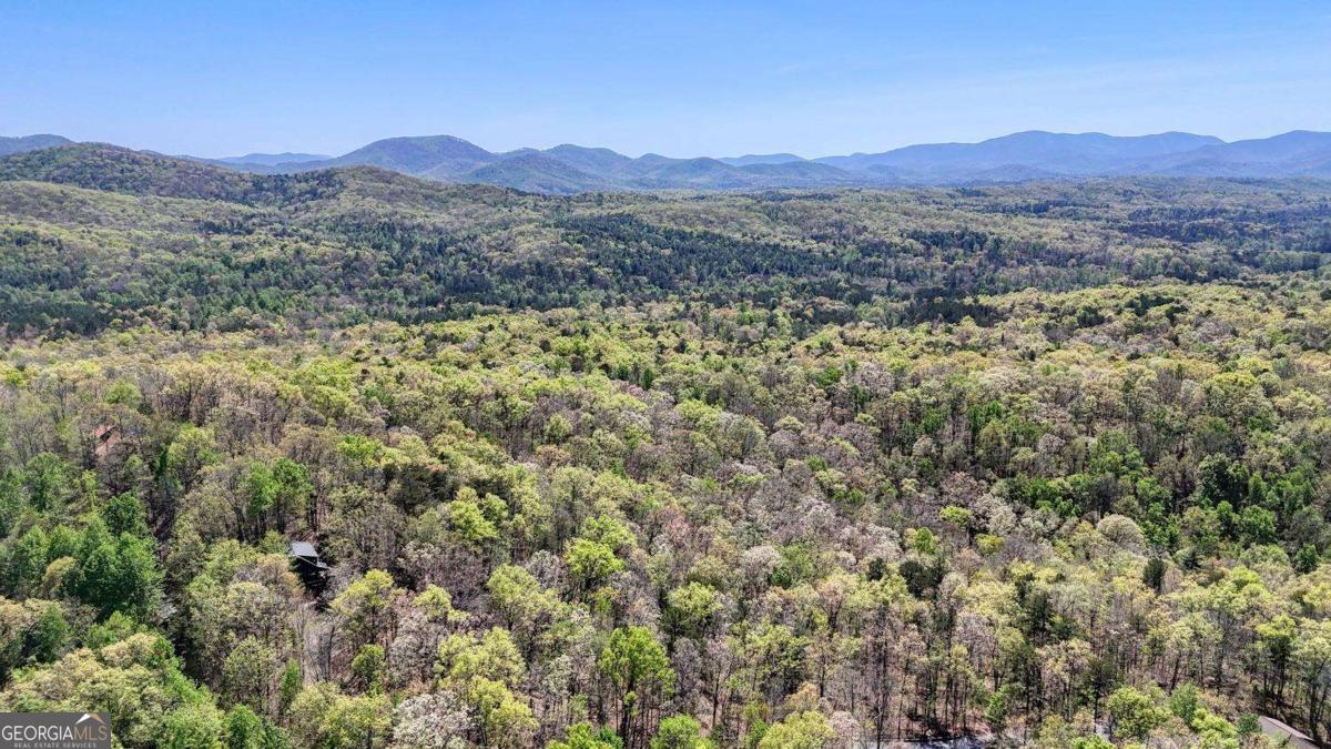 36.78 Ac Old Highway 76 Morganton GA 30560