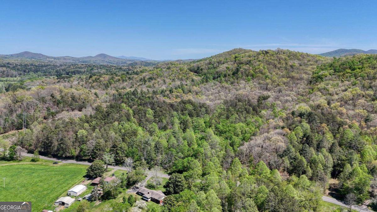 36.78 Ac Old Highway 76 Morganton GA 30560