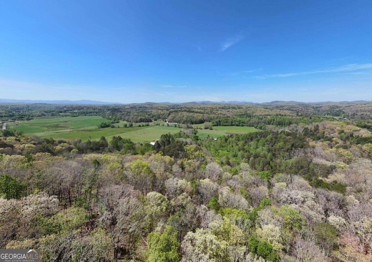 36.78 Ac Old Highway 76 Morganton GA 30560