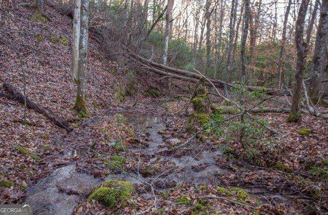 36.78 Ac Old Highway 76 Morganton GA 30560