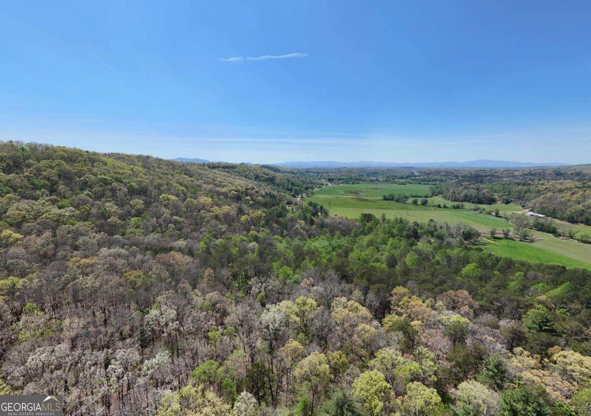 36.78 Ac Old Highway 76 Morganton GA 30560