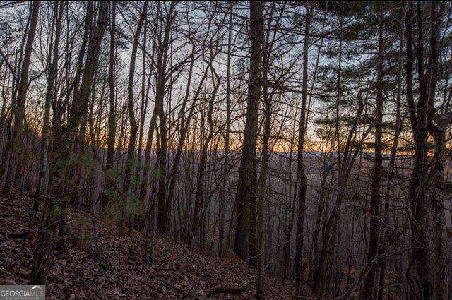 36.78 Ac Old Highway 76 Morganton GA 30560