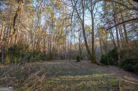 36.78 Ac Old Highway 76 Morganton GA 30560