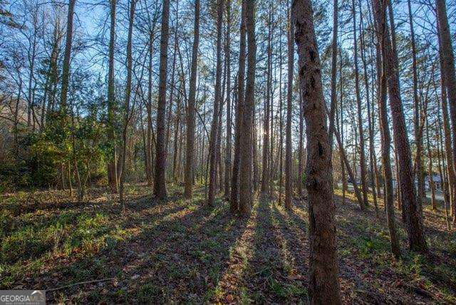 36.78 Ac Old Highway 76 Morganton GA 30560