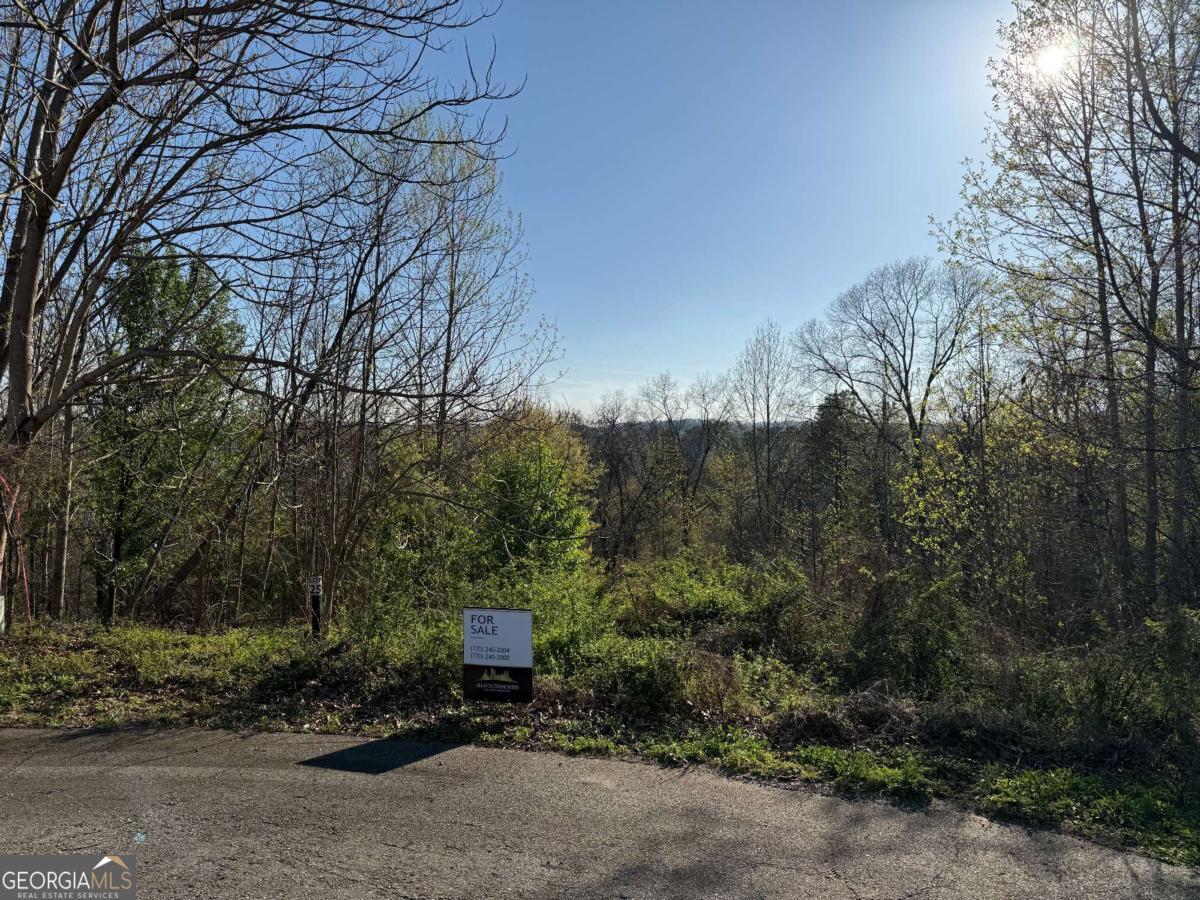 19 Cumberland Court Emerson GA 30137