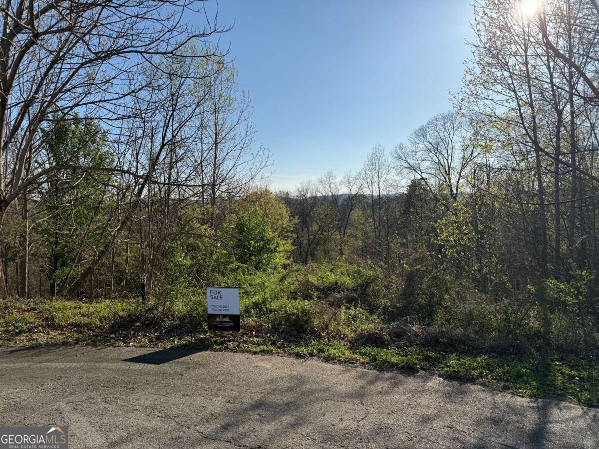 19 Cumberland Court Emerson GA 30137