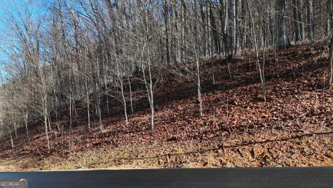 Lot 45 Mountainside Drive Cleveland GA 30528