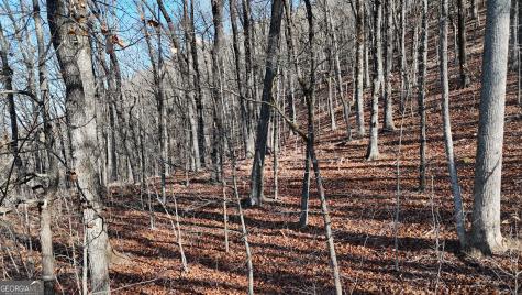 Lot 45 Mountainside Drive Cleveland GA 30528