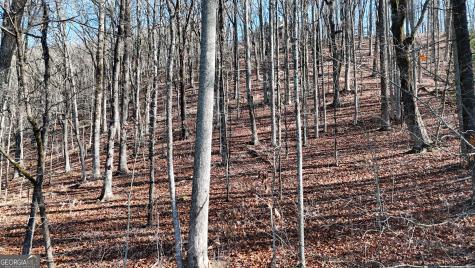Lot 45 Mountainside Drive Cleveland GA 30528