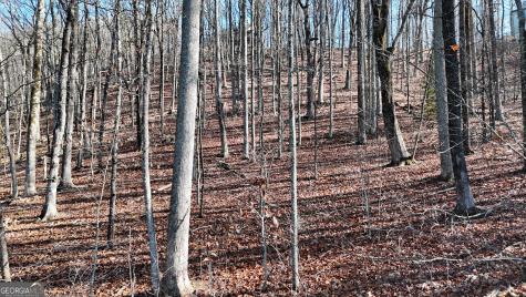 Lot 45 Mountainside Drive Cleveland GA 30528
