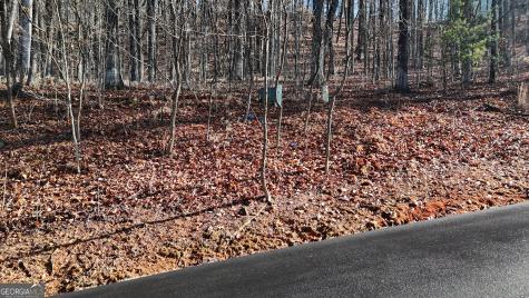 Lot 45 Mountainside Drive Cleveland GA 30528