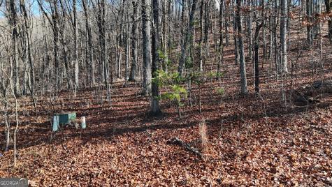 Lot 45 Mountainside Drive Cleveland GA 30528