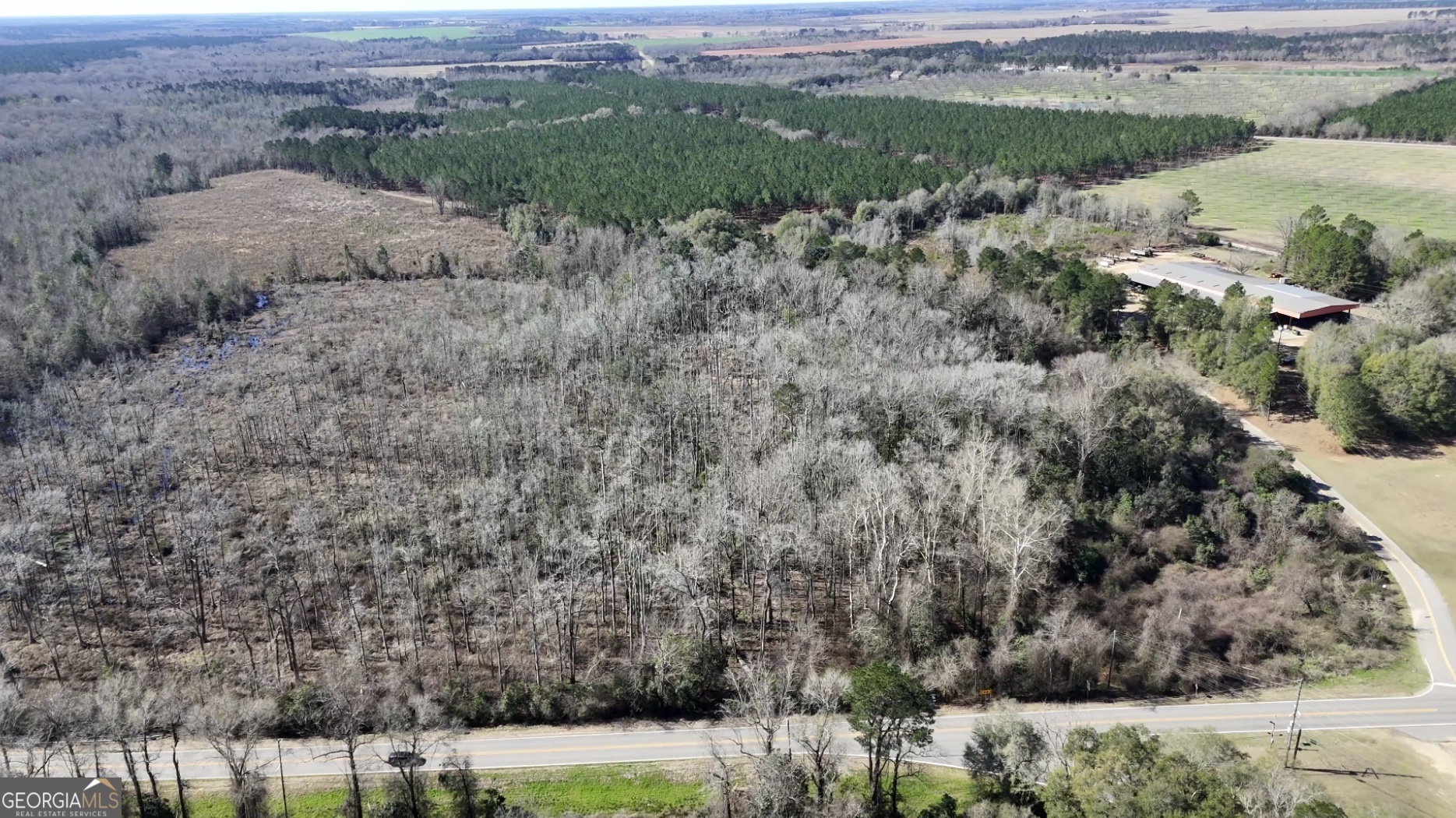 0 Highway 90 Byromville GA 31007