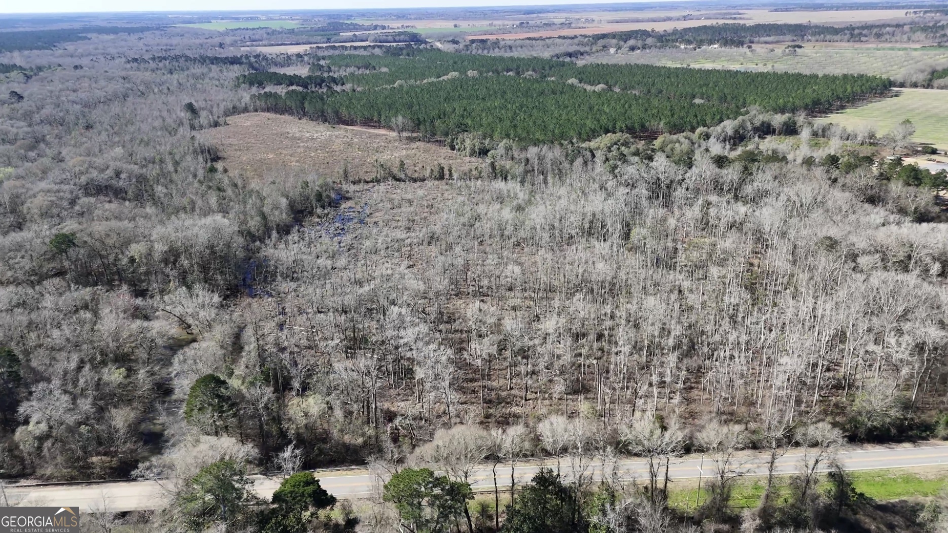 0 Highway 90 Byromville GA 31007