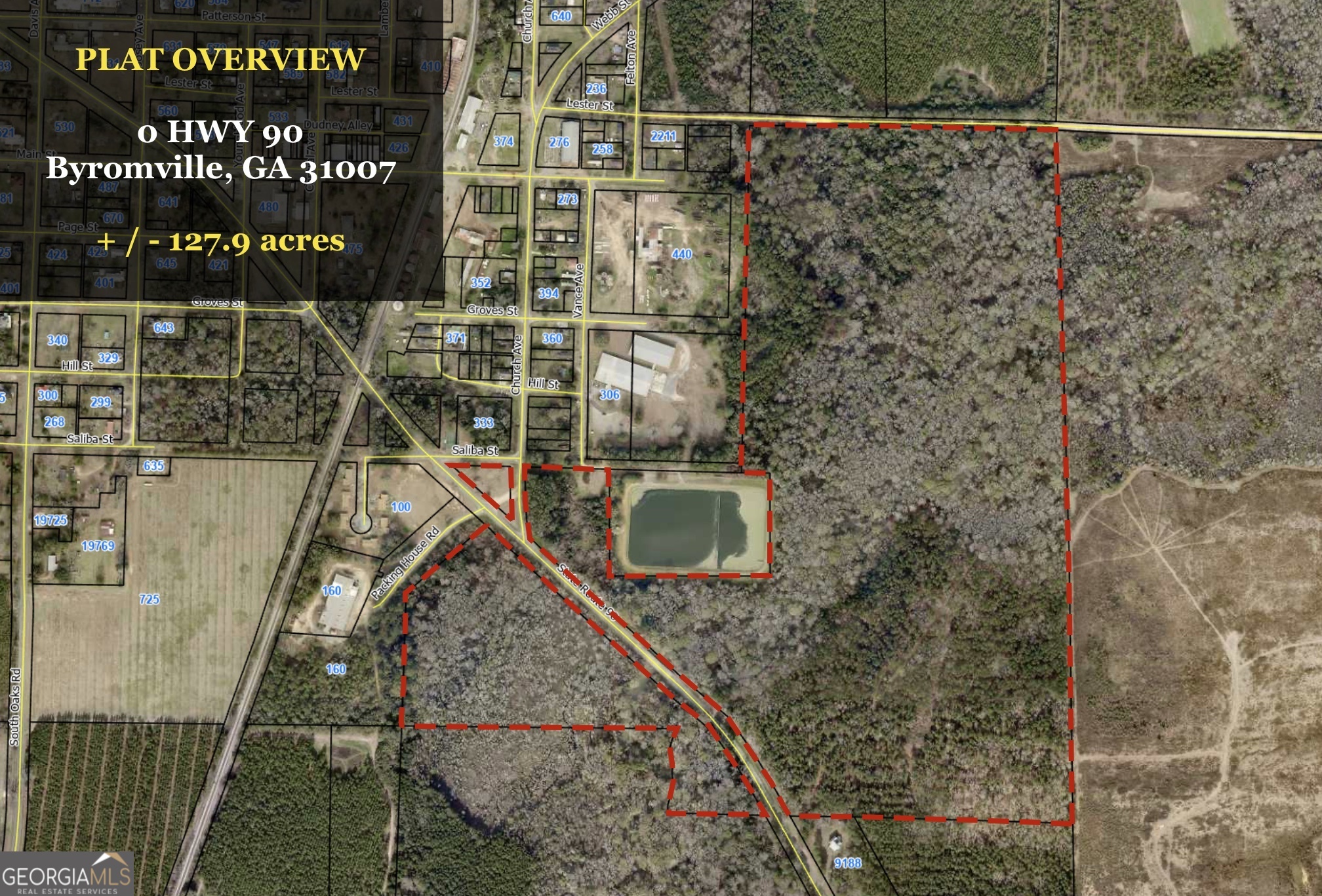 0 Highway 90 Byromville GA 31007