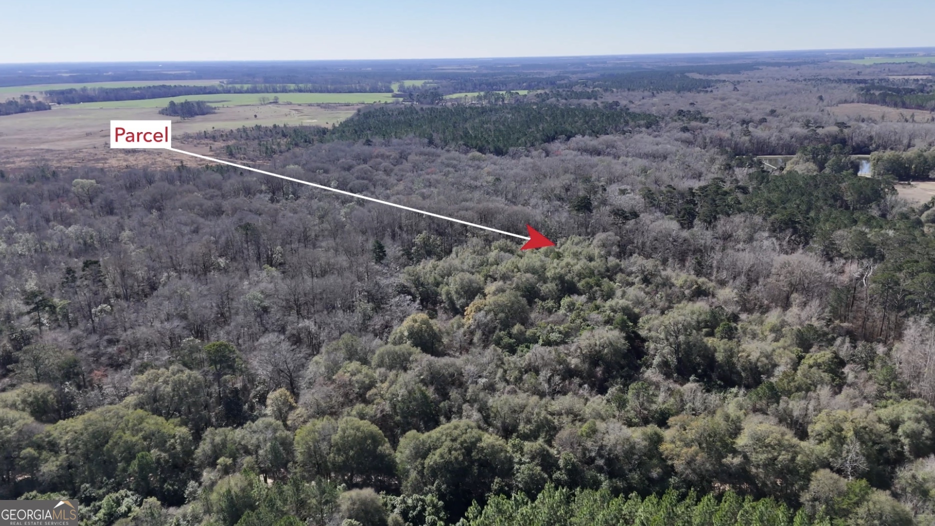 0 Highway 90 Byromville GA 31007