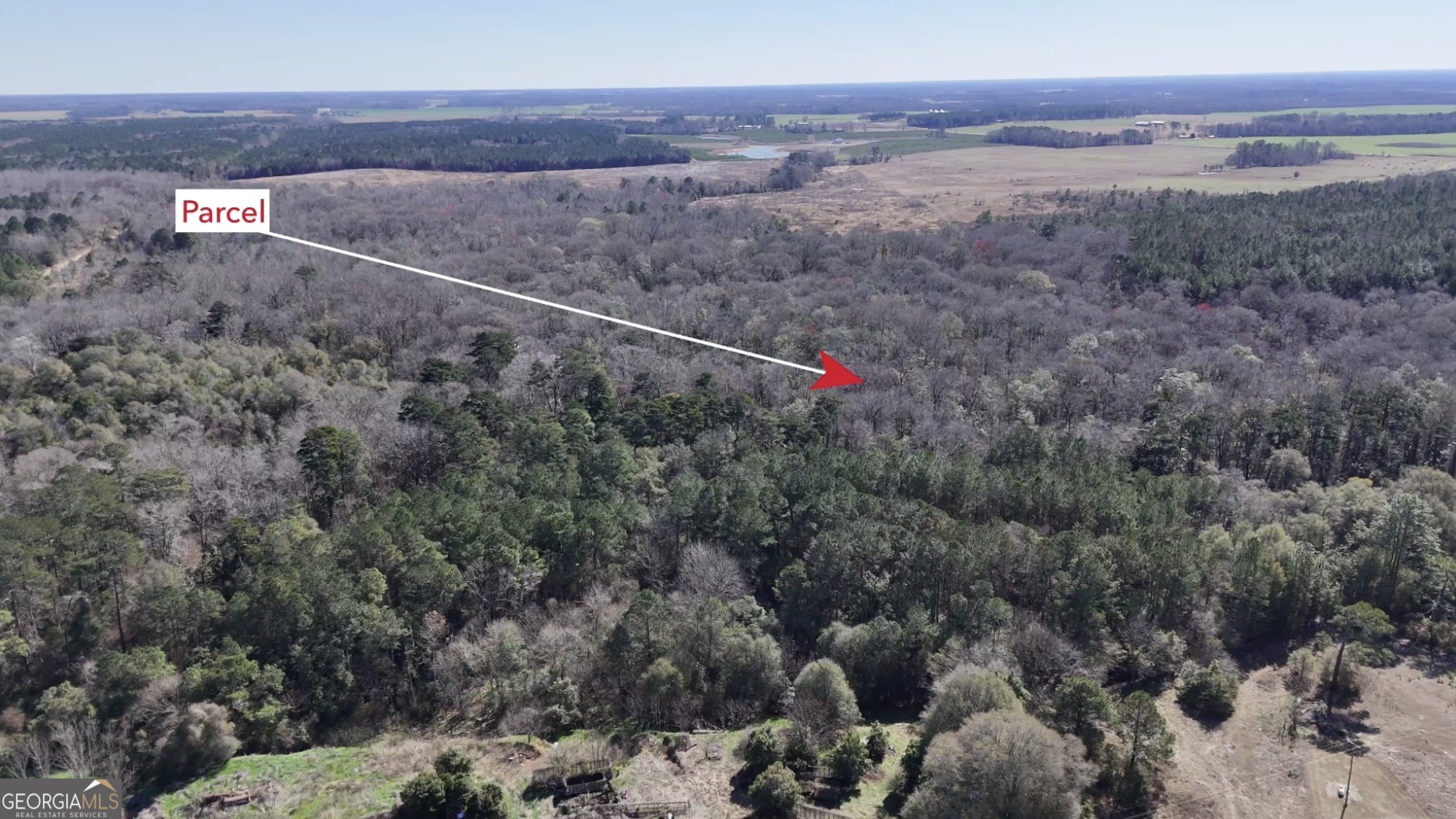 0 Highway 90 Byromville GA 31007