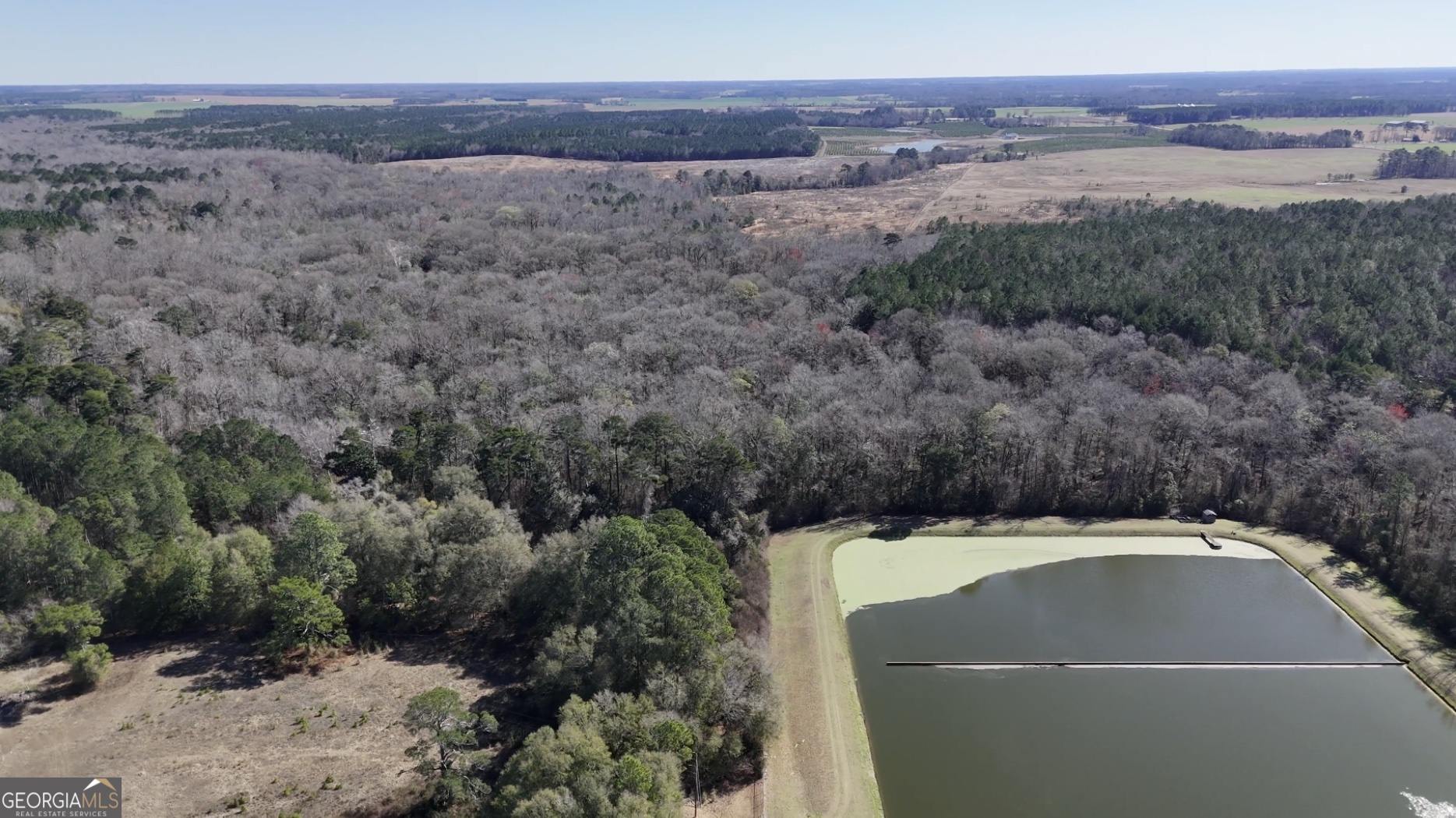 0 Highway 90 Byromville GA 31007