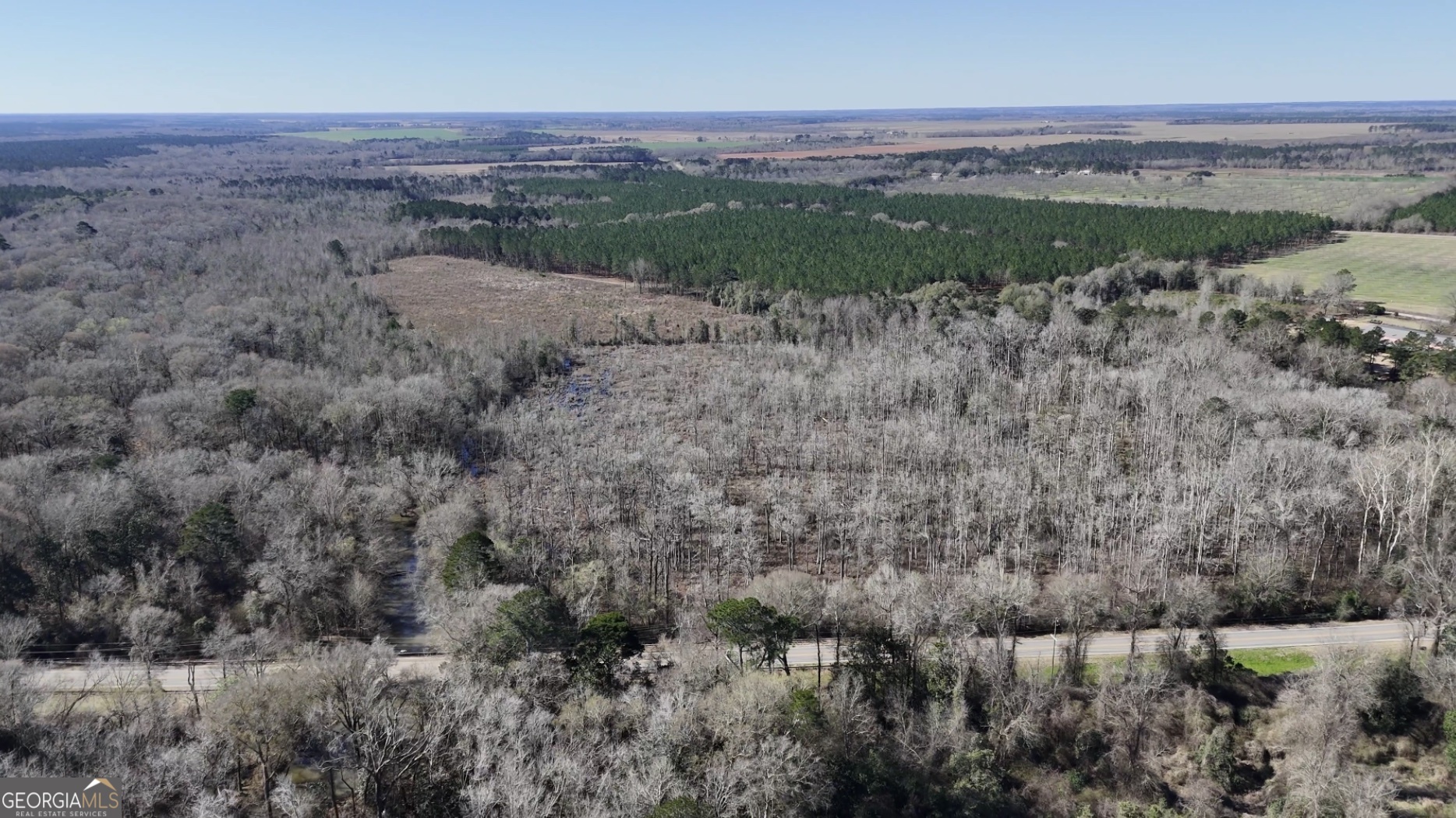 0 Highway 90 Byromville GA 31007